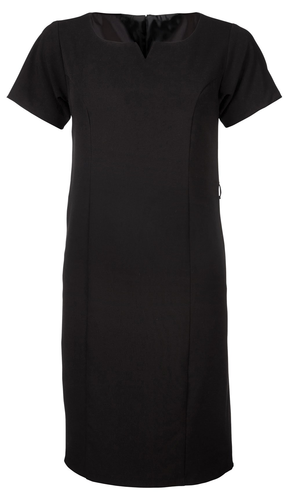 Cap Sleeve Sheath Dress